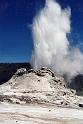 A024 Yellowstone - Old Faithful Castle Geyser